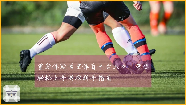 重新体验悟空体育平台入口，带你轻松上手游戏新手指南